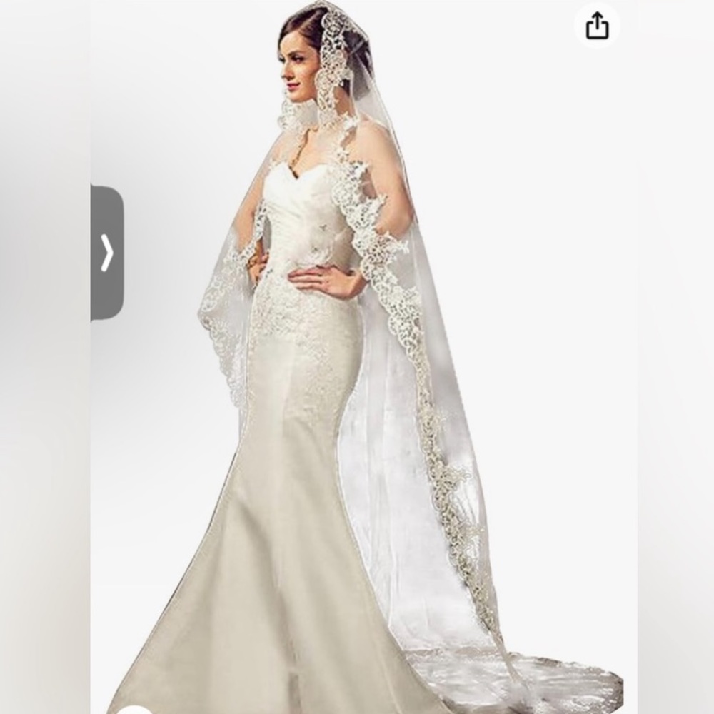 🍒Cathedral length veil